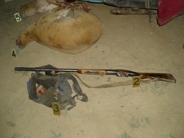 قوستانايدا 5 كۇندە 40 براكونەرگە ايىپپۇل سالىندى