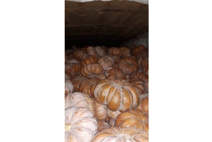 رۇقسات قاعازدارى جوق تاۋارلار ەلگە كىرگىزىلمەدى