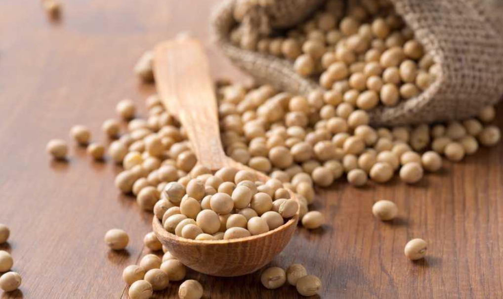 سويا - سۇرانىسقا يە داقىل