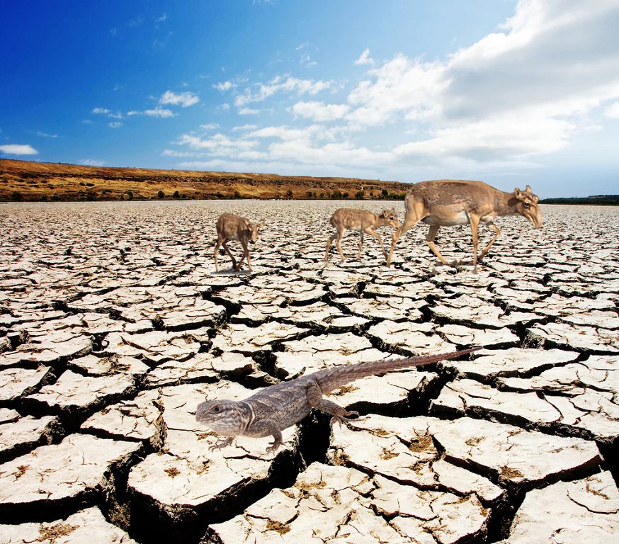 تاقىر...(اڭگىمە)