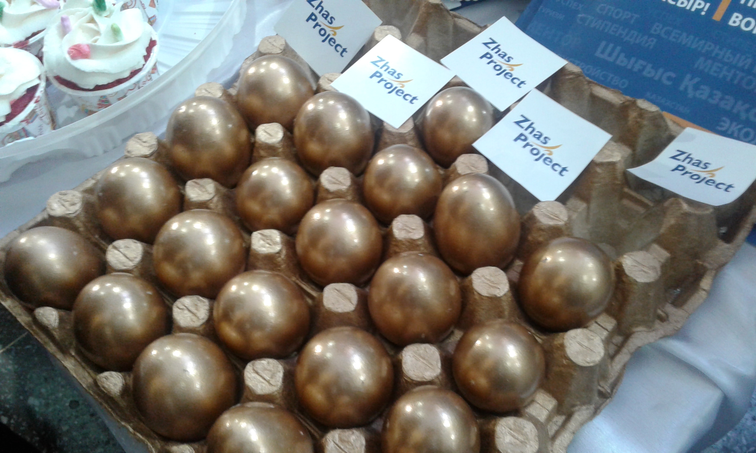 «Zhas projekt» فورۋمىندا «التىن جۇمىرتقا» مەن «ەشكى ءسۇتىنىڭ پايداسى» جوبالارى زور قولداۋعا يە بولدى