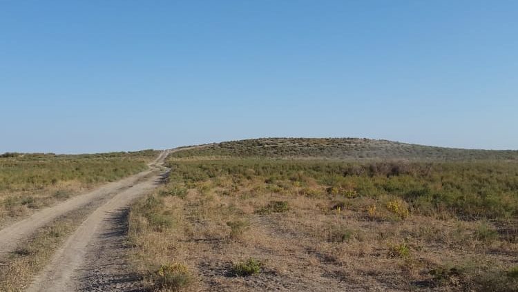 تايتوبە ءتۋريزمدى دامىتۋعا سۇرانىپ تۇر