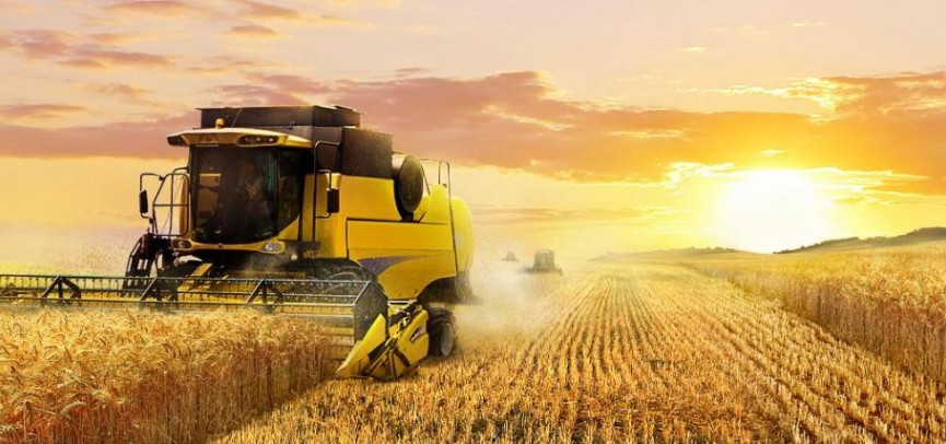 كاسىپكەر ەكونوميكانىڭ تىرەگى بولۋى ءتيىس