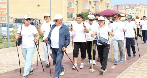 پاۆلودارداعى شيپاجاي سكانديناۆيالىق جۇرىسكە ءمان بەرەدى