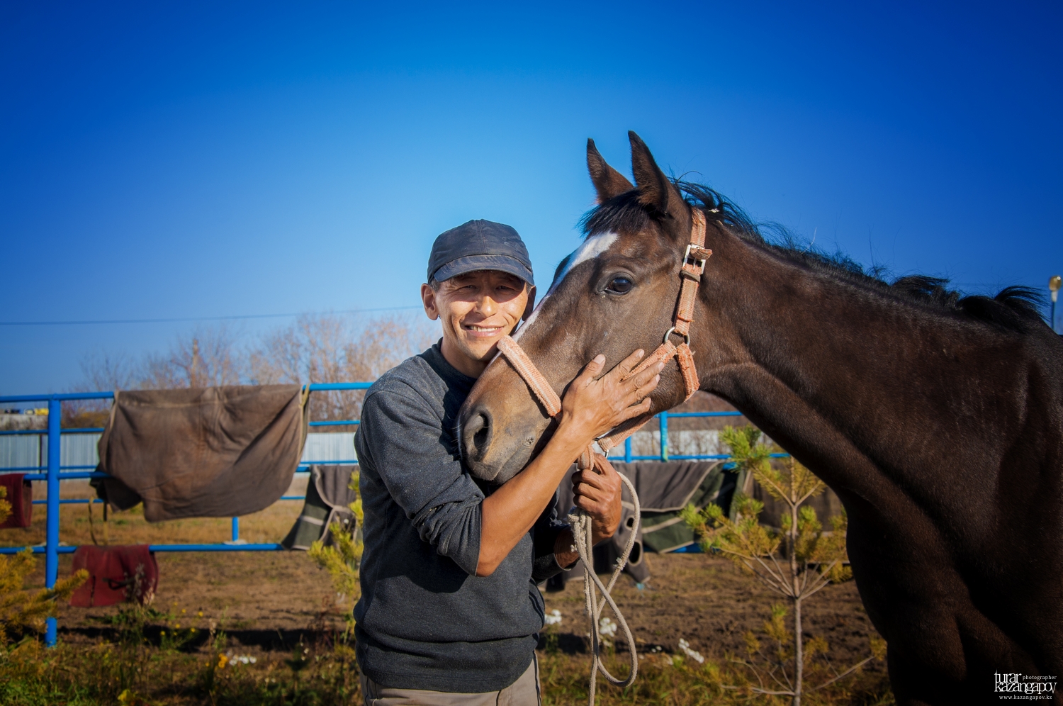 جۇيرىك جىلقىنىڭ سيپاتتارى