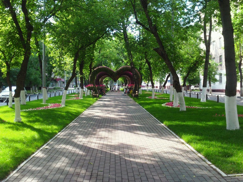 سولتۇستىك قازاقستاندا جاستار ساياباقتارى كوبەيەدى