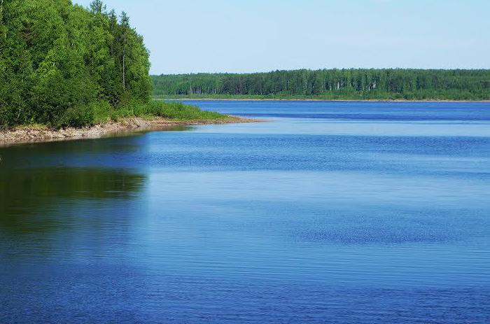 قىزىلوردادا التى سۋ قويما سالىنادى 