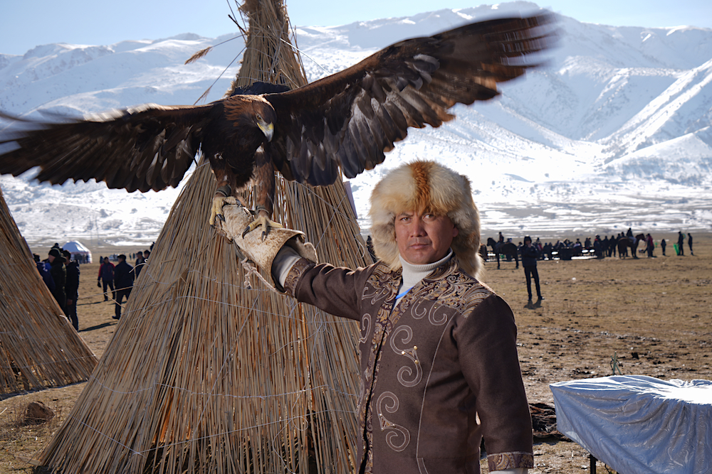 ساياتشىلىق سالتانات قۇرسا, براكونەرلەر ازايار ما ەدى؟!