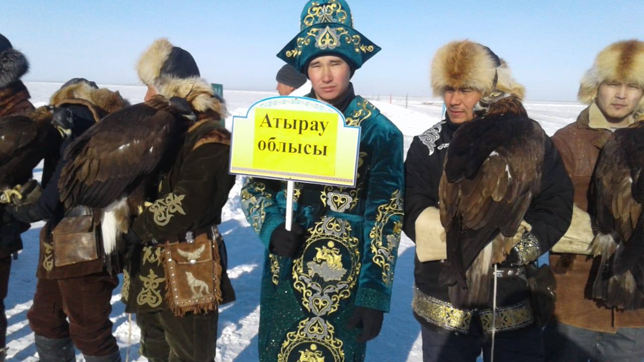 تارباعاتاي اۋدانىندا بۇگىن بۇركىتتەر قاسقىرعا تۇسەدى