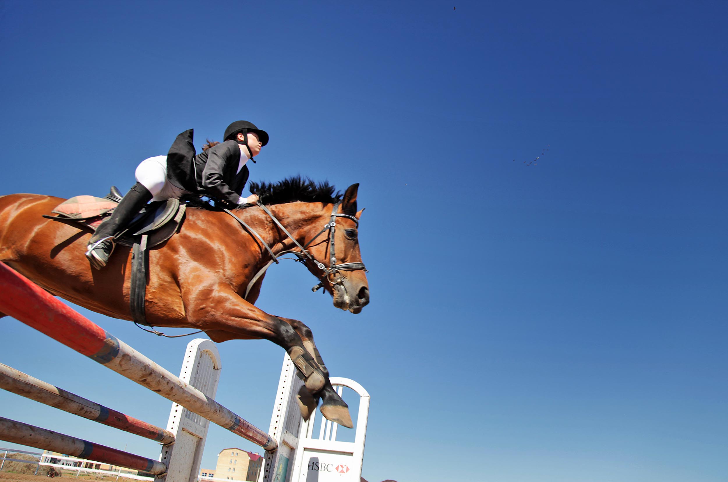 بەسسايىستان ەل چەمپيوندارى انىقتالدى