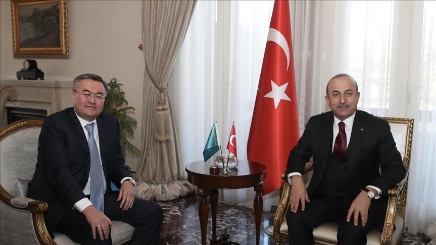 مۇحتار تىلەۋبەردى تۇركيادا مەۆليۋت چاۆۋشوعلىمەن كەزدەستى 