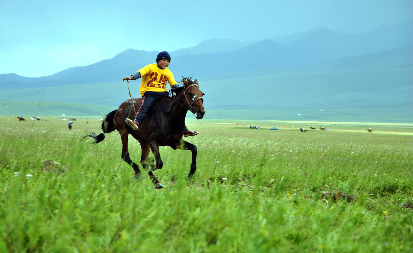 جۇيرىكتى قالاي باپتايدى؟