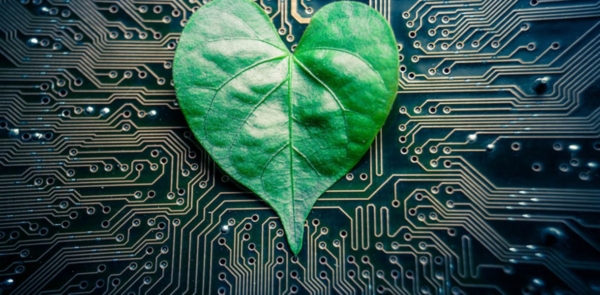 جاساندى وسىمدىكتەر جەر شارىن تازارتۋعا قالاي كومەكتەسەدى؟