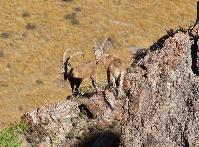 قازاقستاننىڭ كورىكتى جەرلەرى تۋرالى باعدارلاما حالىقارالىق سىيلىققا يە بولدى