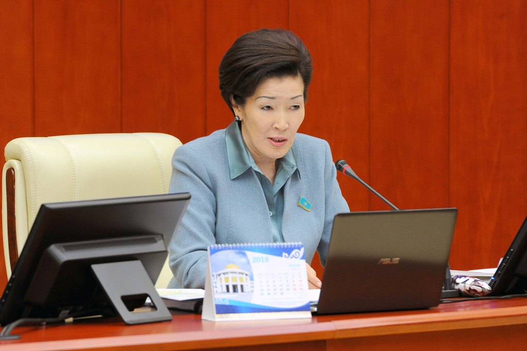 ماجىلىستە مەملەكەتتىك جاستار ساياساتىن ىسكە اسىرۋ بارىسى تۋرالى تالقىلاندى