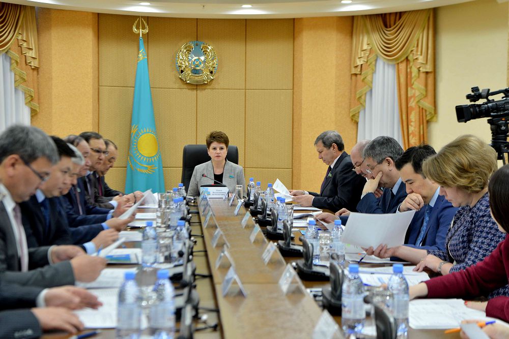 سەناتورلار مەملەكەتتىك-جەكەشەلىك ارىپتەستىك جوبالارىن ىسكە اسىرۋ ماسەلەلەرىن تالقىلادى