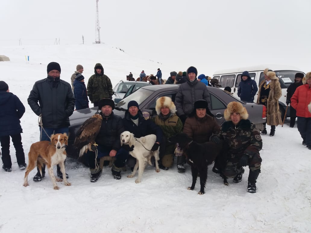 باياناۋىلدىق  اقباقاي, سارىقاسقا, اققۇس, لاشىن اتتى تازىلار  جۇلدەلى ورالدى