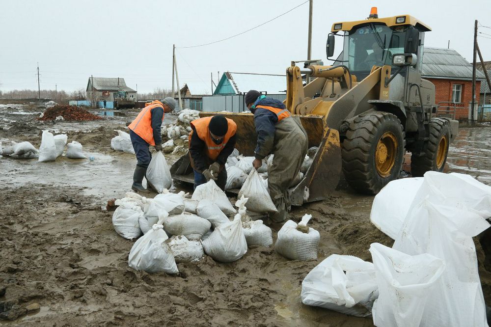 كەشەندى جوسپار جاسالدى