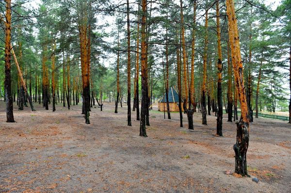 شالقار-يمانتاۋ دەمالىس ايماعىن جاڭعىرتۋعا  1 ملرد تەڭگە جۇمسالادى