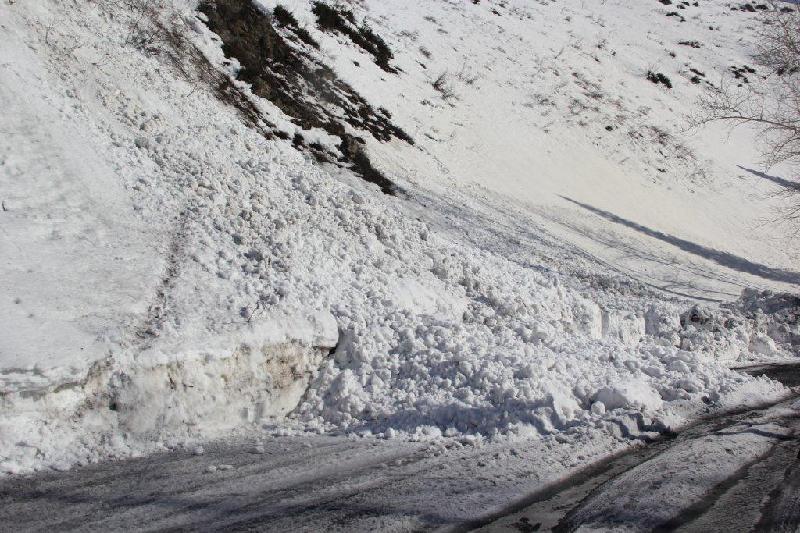 شىعىس قازاقستاندا قار كوشكىنىنە بايلانىستى جول جابىلدى