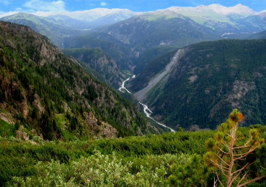 شقو كاتونقاراعاي اۋدانىندا «التاي» شيپاجايى اشىلادى