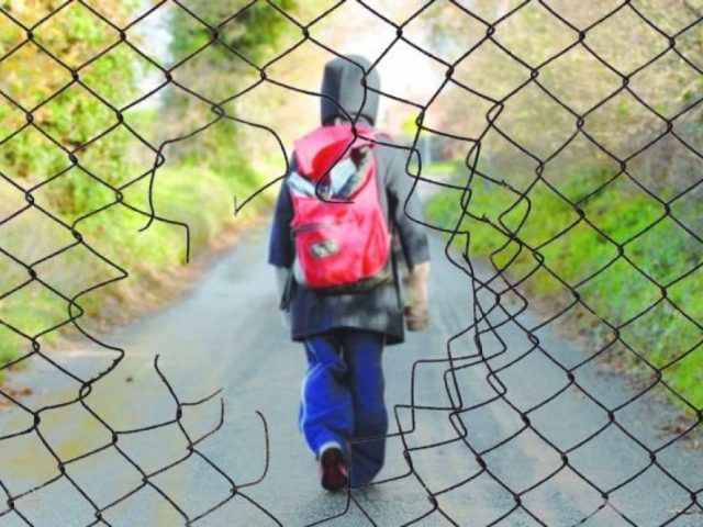 الماتى وبلىسىندا 700 ءجاسوسپىرىم پوليتسيا ەسەبىندە تۇرادى