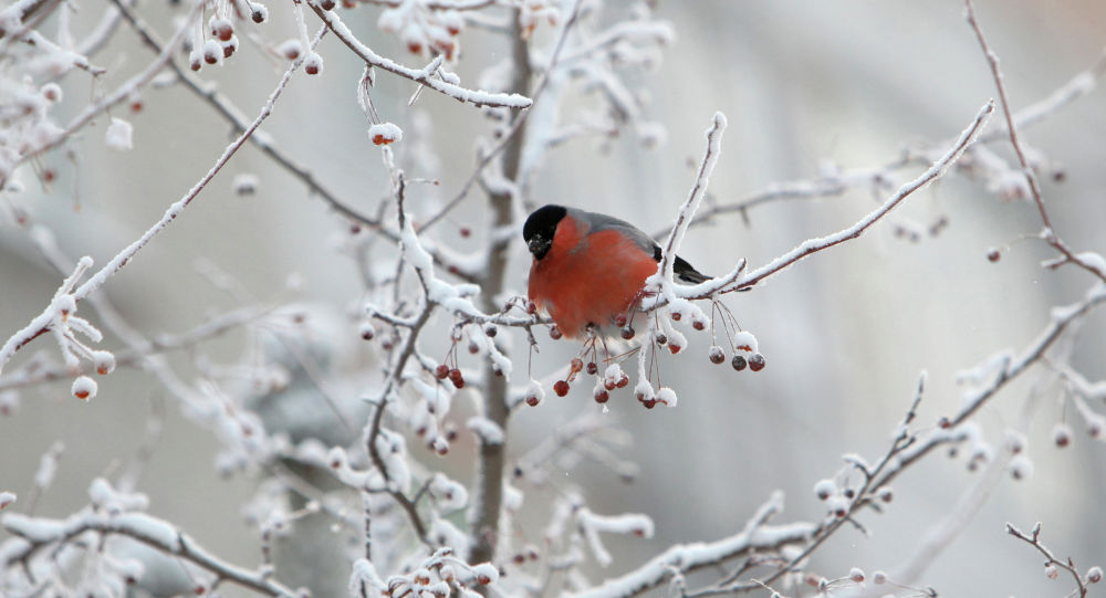 بۇگىن قازاقستاننىڭ وڭتۇستىك-شىعىسىندا جاۋىن-شاشىنسىز اۋا رايى كۇتىلەدى