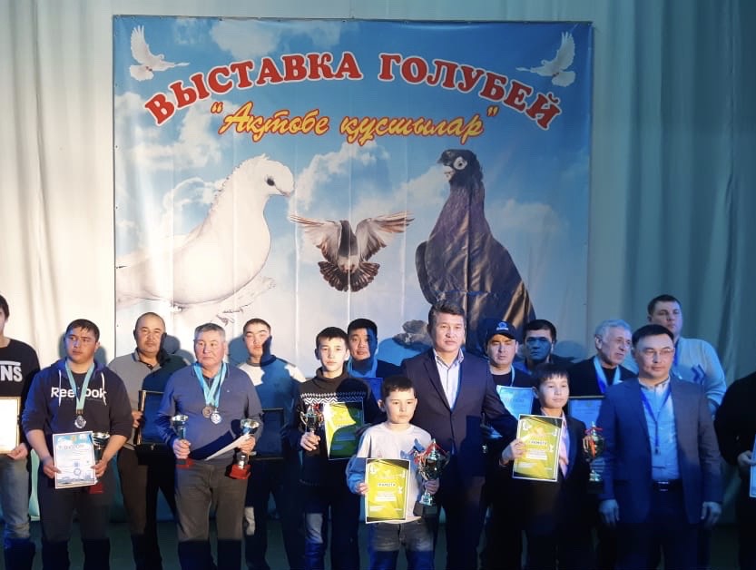 اقتوبەدە 20-دان اسا كوگەرشىن كوپشىلىك نازارىنا ۇسىنىلدى