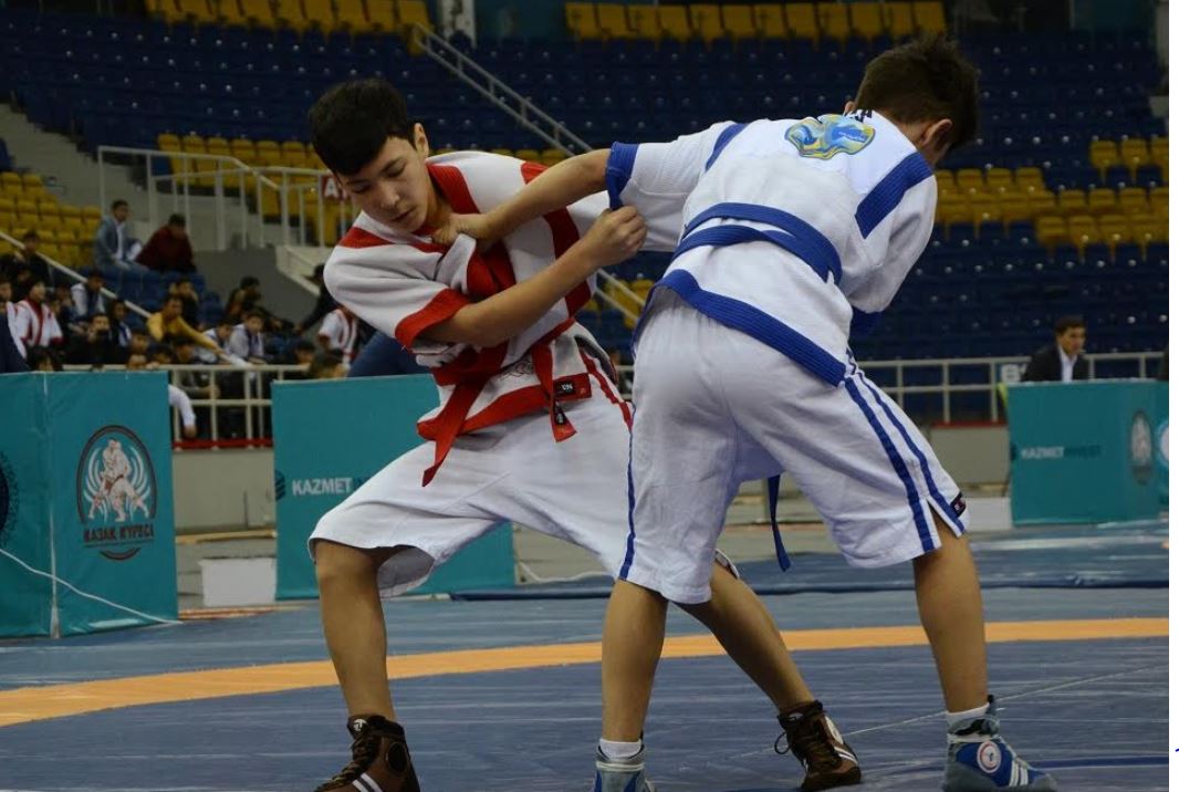 قازاق كۇرەسى بۇقارالىق سيپات الۋعا ءتيىس