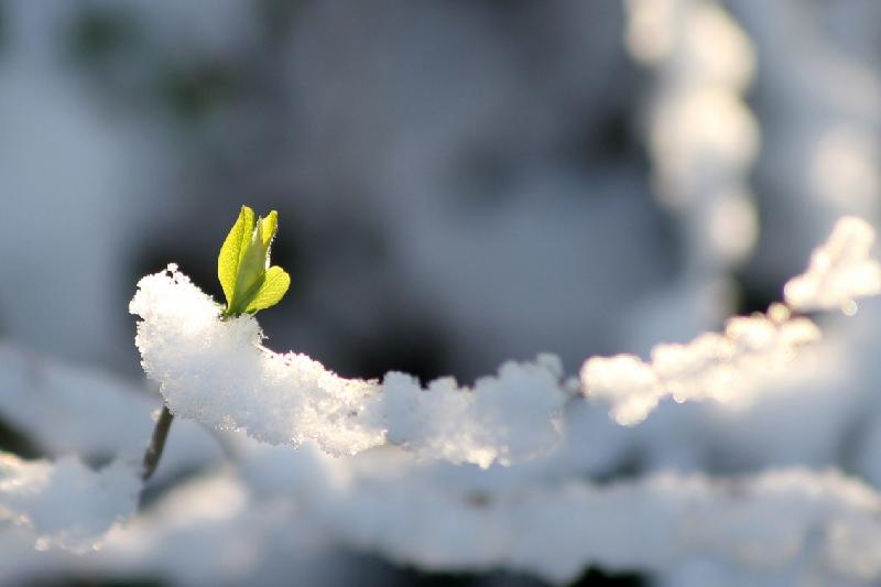 ناۋرىز ايىندا قازاقستاندا اۋا رايى قانداي بولادى