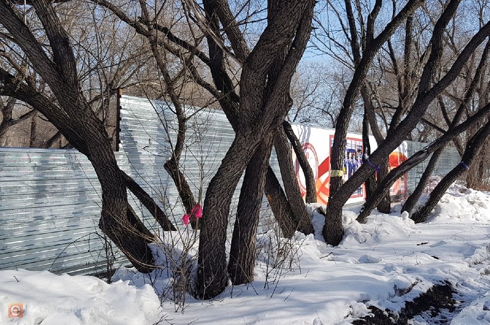 قورشاۋ سالىپ العان, ال رۇقسات الىنباعان...