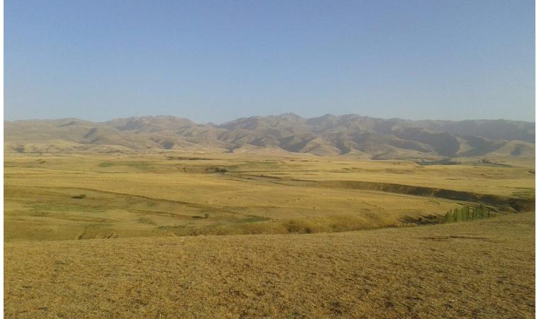 المالىلىقتاردىڭ كوڭىلى نەگە كۇپتى؟