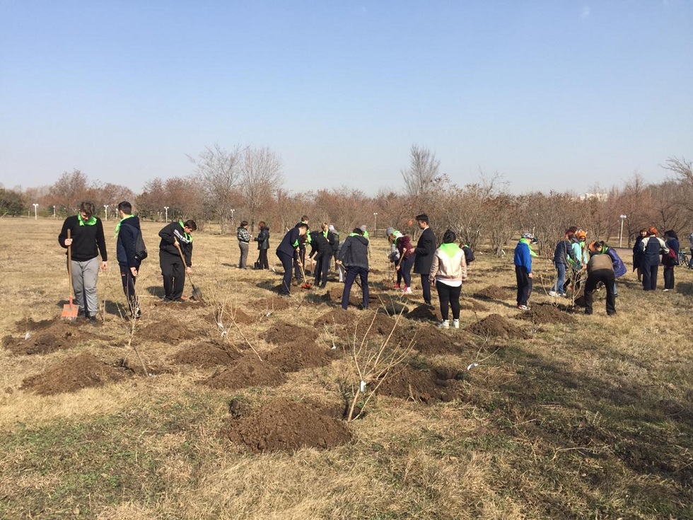 تۇڭعىش پرەزيدەنت ساياباعىنا 100 ءتۇپ بورتەگۇل وتىرعىزدى