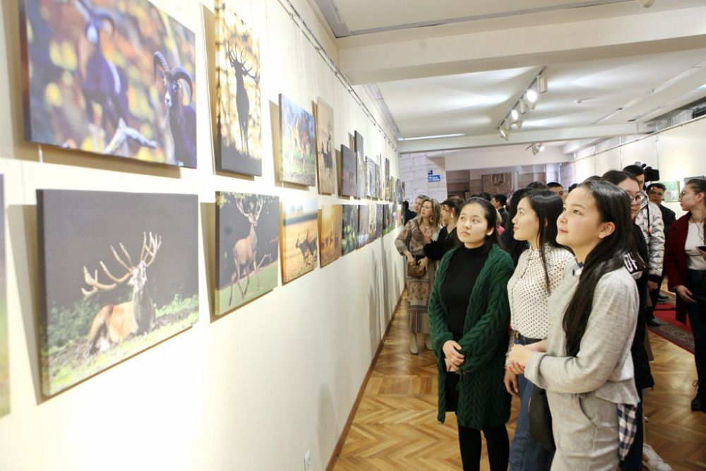 بۇعىلاردىڭ تاڭسىق كەيپى