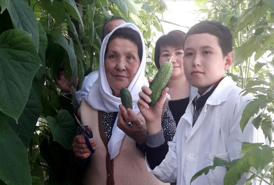 باياناۋىلداعى مەكتەپ-ينتەرنات جىلىجايىندا قيار, قىزاناق وسىرىلەدى 