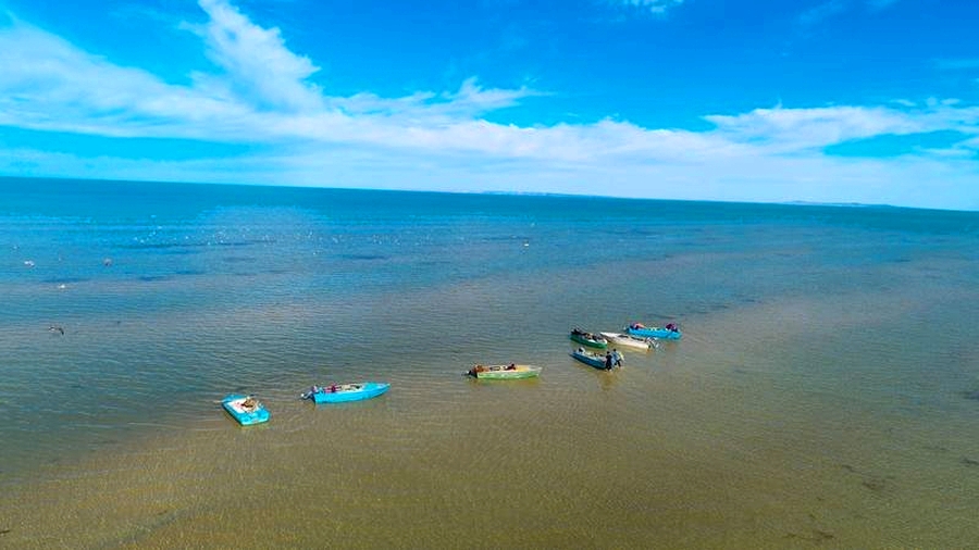 ارال تەڭىزى كۇنى اتالىپ ءوتتى