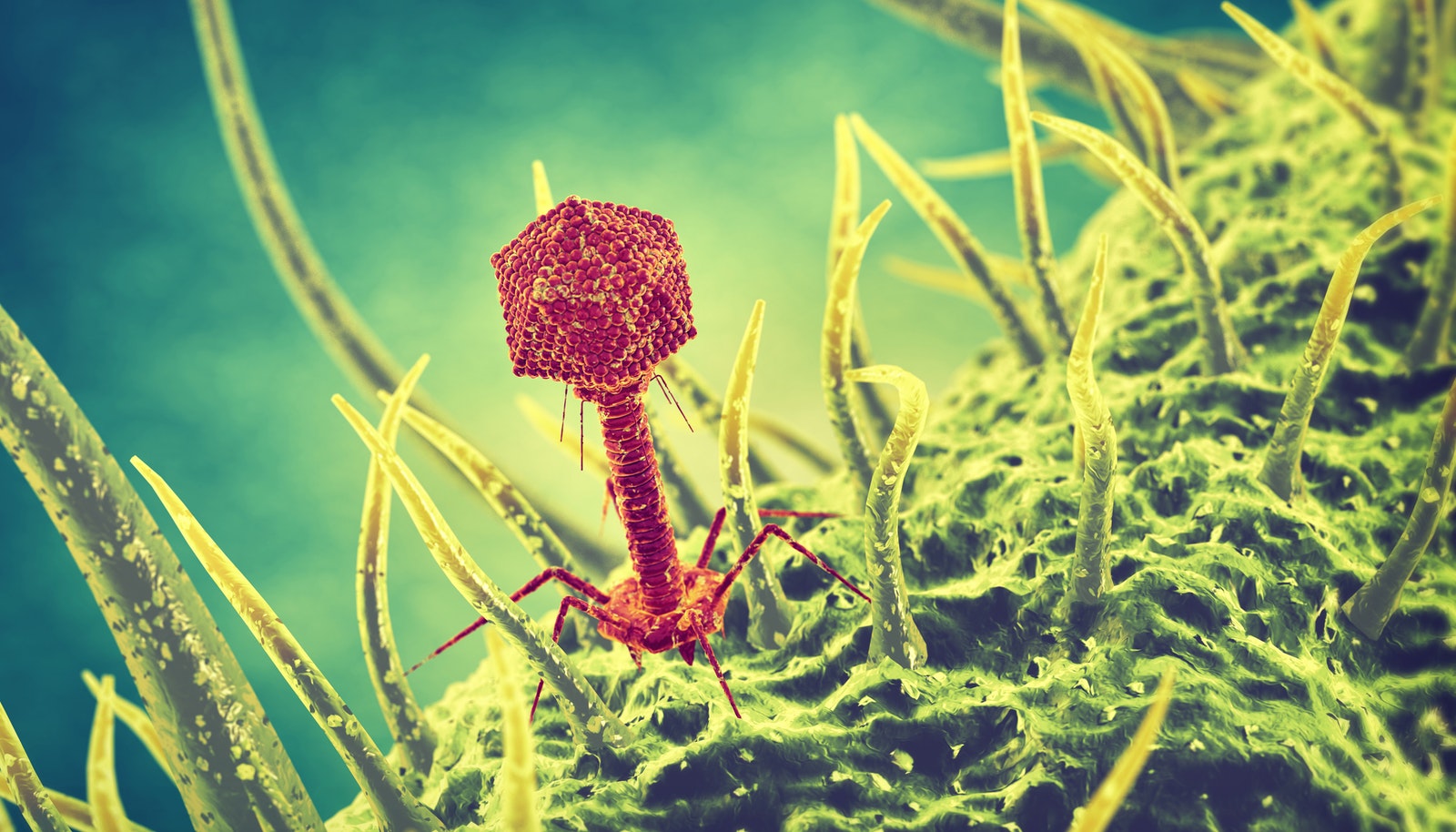 انتيبيوتيكتەردەن كەلەتىن قاۋىپ قانداي؟