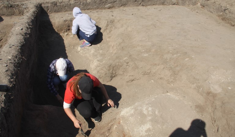 جايىق (تەكە) قالاسى, ارحەولوگيالىق قازبالار