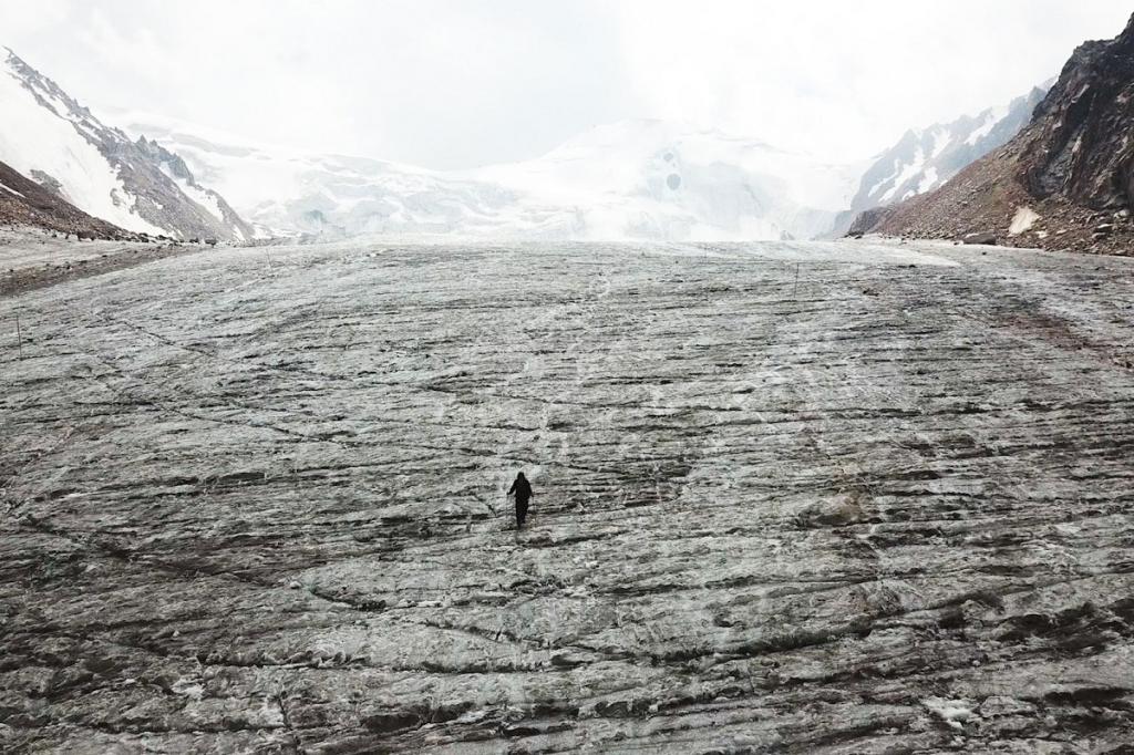 بەن ك.سولومون, «نيۋ-يورك تايمس»