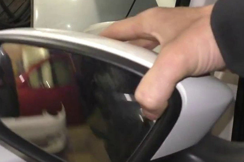 قر ءىىم دميتري ءبالانديننىڭ كولىگىنىڭ ايناسى ۇرلانعانىن راستادى