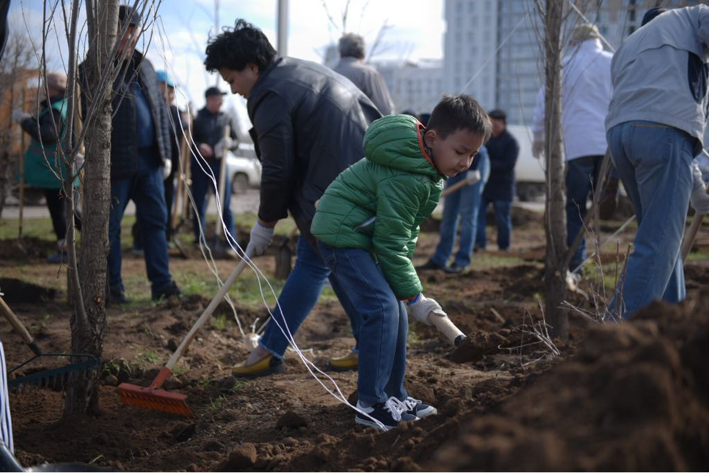 ەكولوگيالىق ەكى ايلىقتىڭ العاشقى سەنبىسىندە 900 اۋلا رەتكە كەلتىرىلدى
