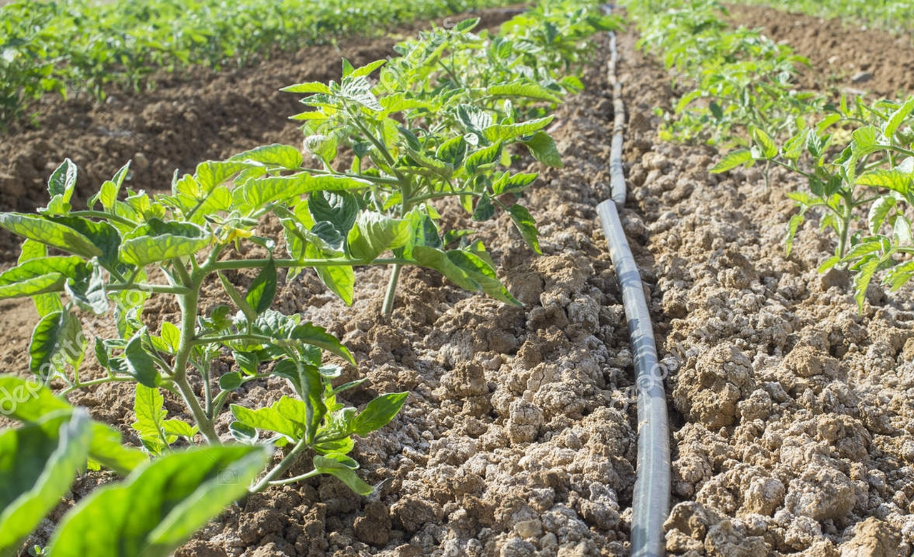 سۋارمالى جەر كولەمىن ۇلعايتۋ ماسەلەسىنە بايلانىستى قۇرىلعان جۇمىس توبىنىڭ جۇمىسى سارالاندى