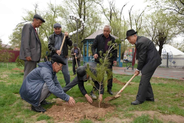 تۇركىستاندا 100 مىڭ ءتۇپ تال وتىرعىزىلادى