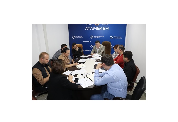 «قاراپايىم زاتتار ەكونوميكاسى» قالاي جۇزگە اسادى؟