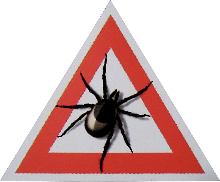 قىزىلوردا وبلىسىندا توتەنشە جاعدايلاردىڭ الدىن الۋ جونىندەگى كوميسسيانىڭ وتىرىسى ءوتتى