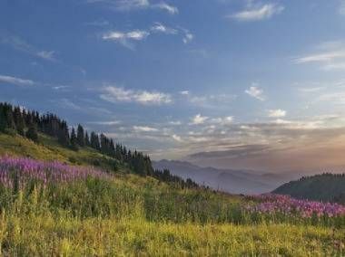 ق.توقاەۆ: مۇنداي ماڭىزدى ماسەلەدە اسىعىستىق تانىتۋعا بولمايدى