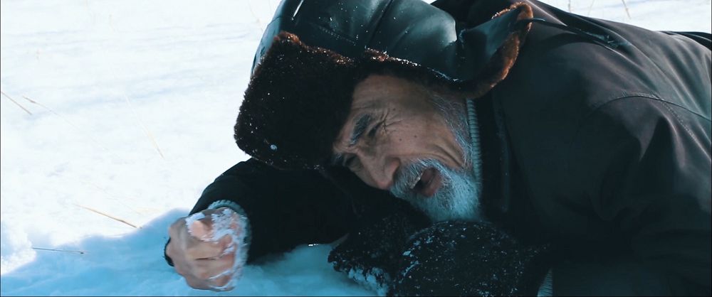 جاتسىنۋ جايلى جانايقاي