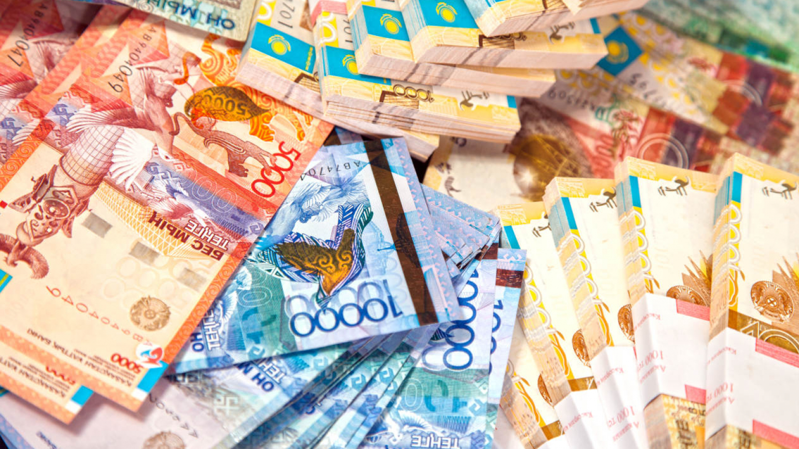 «قاراپايىم زاتتار ەكونوميكاسىن» دامىتۋعا 600 ملرد تەڭگە ءبولىندى