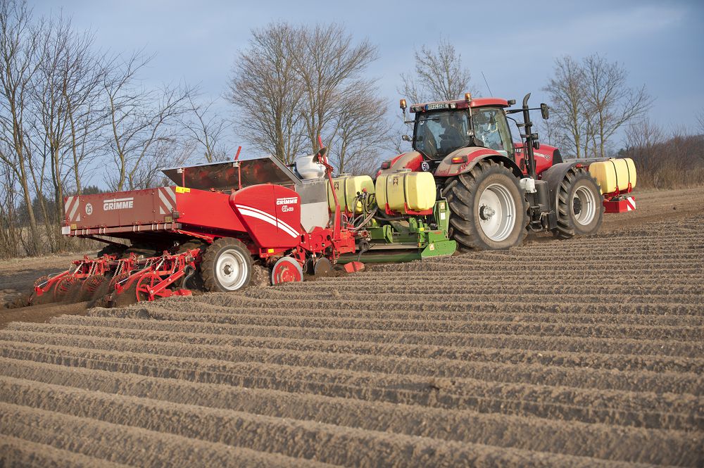 ديقاندار قىرداعى قىزۋ ەڭبەككە اتتانادى