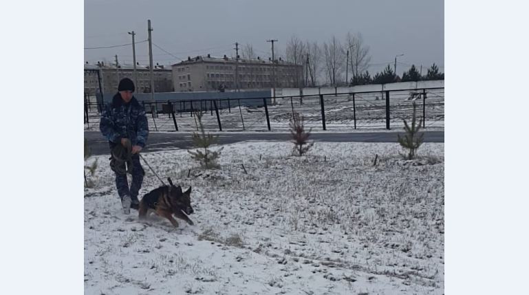 دانانىڭ كومەگىمەن 8 ادام ءولىمى, 14 توناۋ, 500-دەي ۇرلىق اشىلدى
